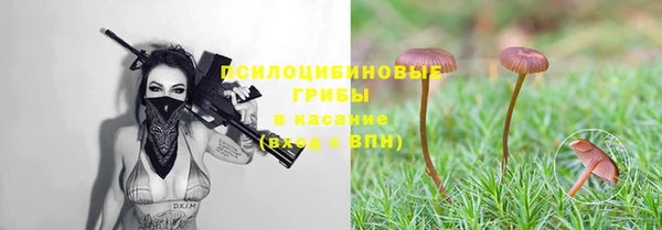 кокс Аркадак