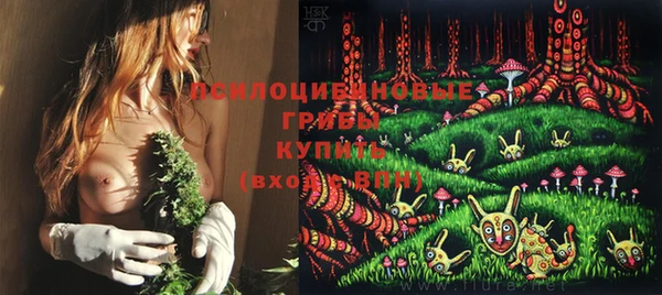 spice Арсеньев