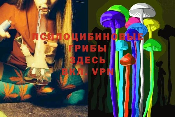 кокс Аркадак