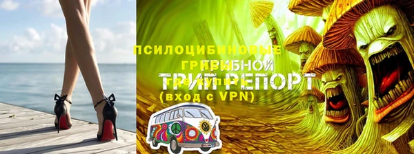 амфетамин Новозыбков
